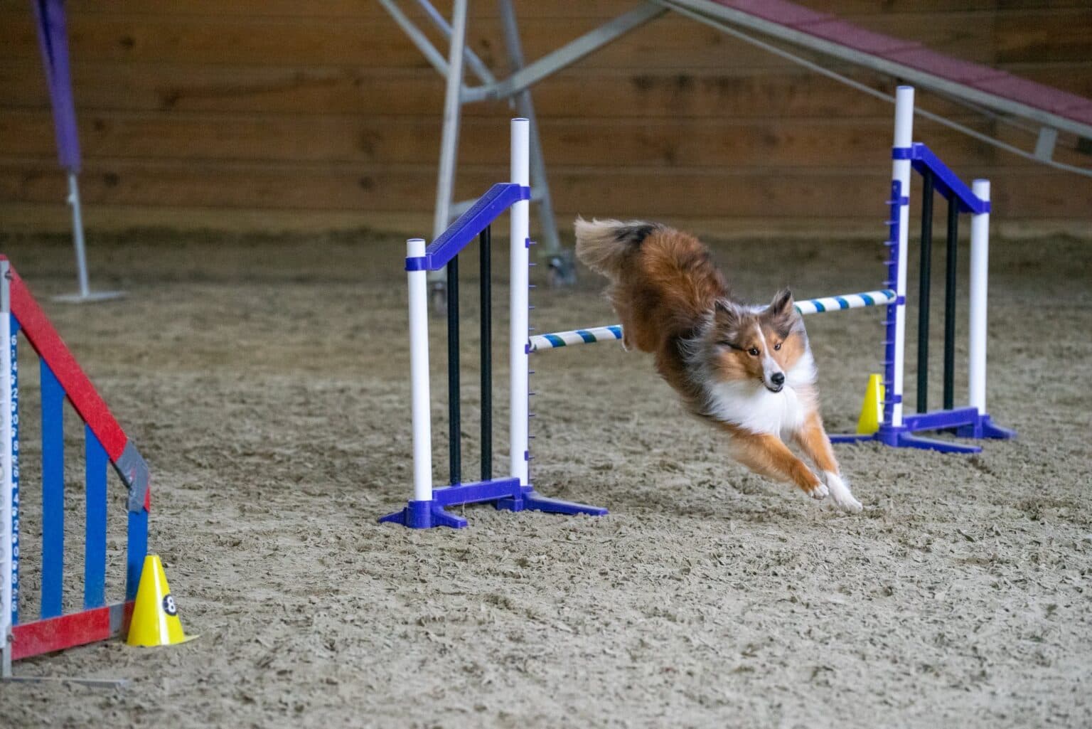 Agility