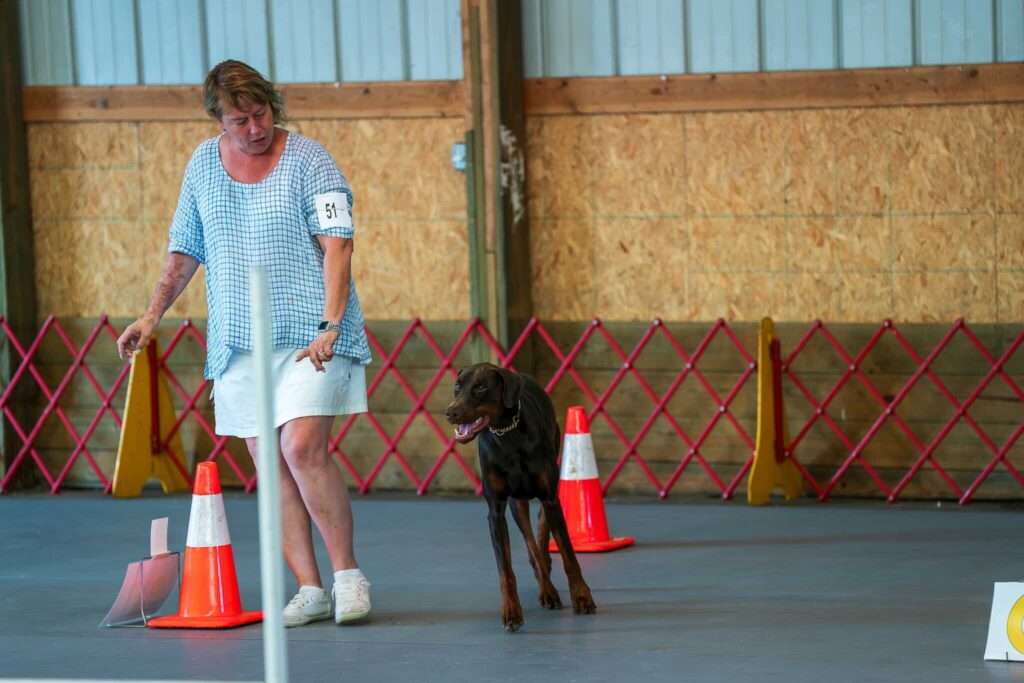 Virtual Rally Obedience: A Game-Changer in Dog Sports