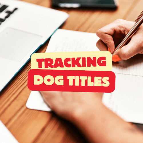 Why Tracking Dog Sport Titles Matters for Your Canine’s Journey