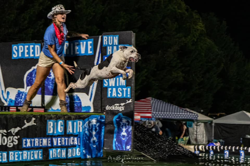 North America Diving Dogs: The Official AKC Dock Diving Partner