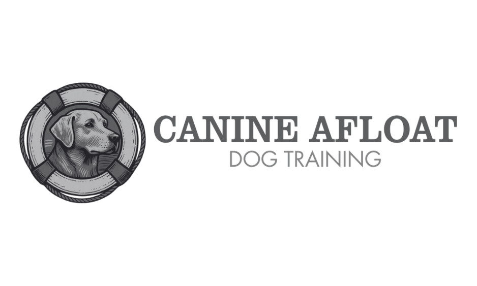 Canine Afloat Dog Training