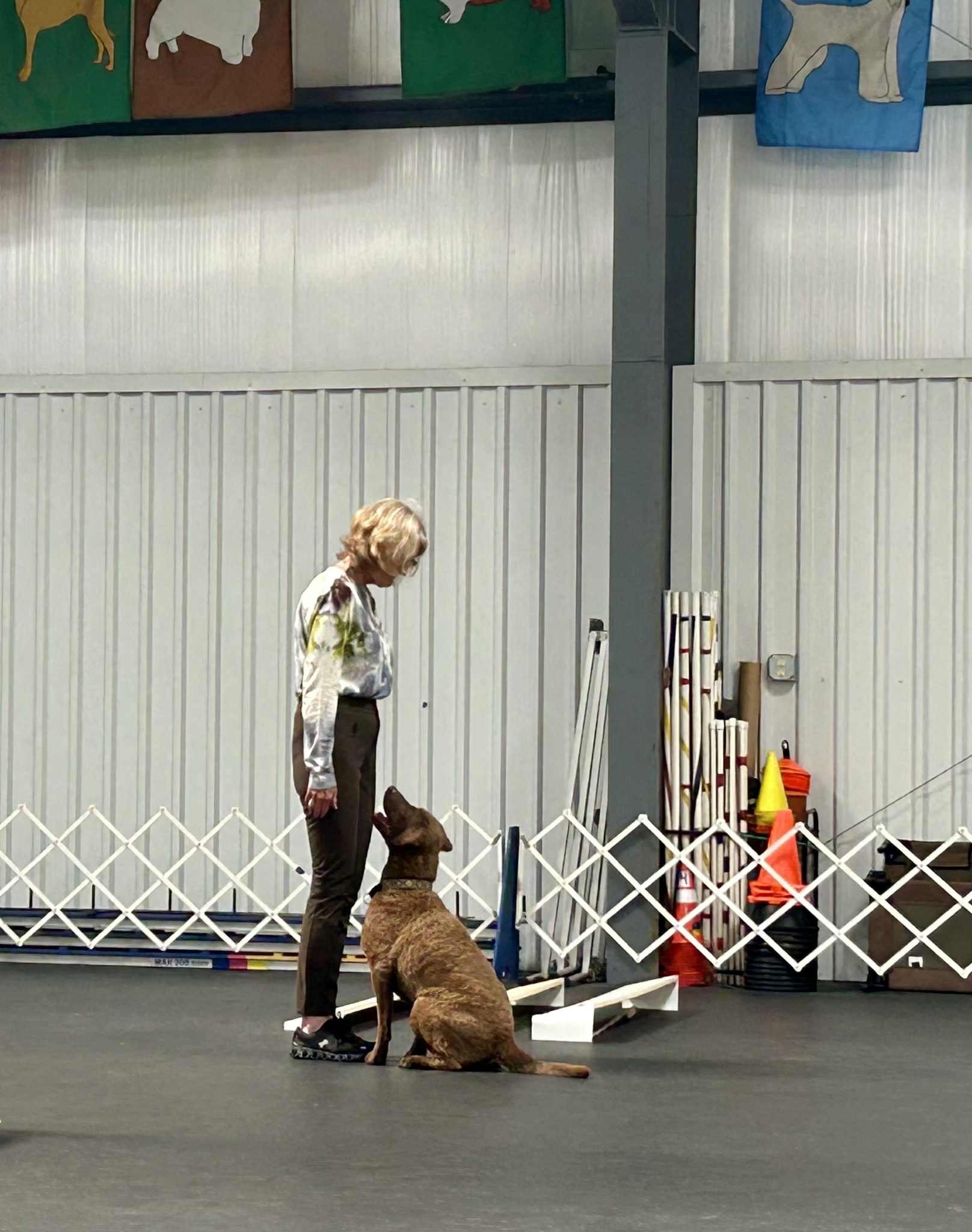 Is Competition Obedience right for your dog?