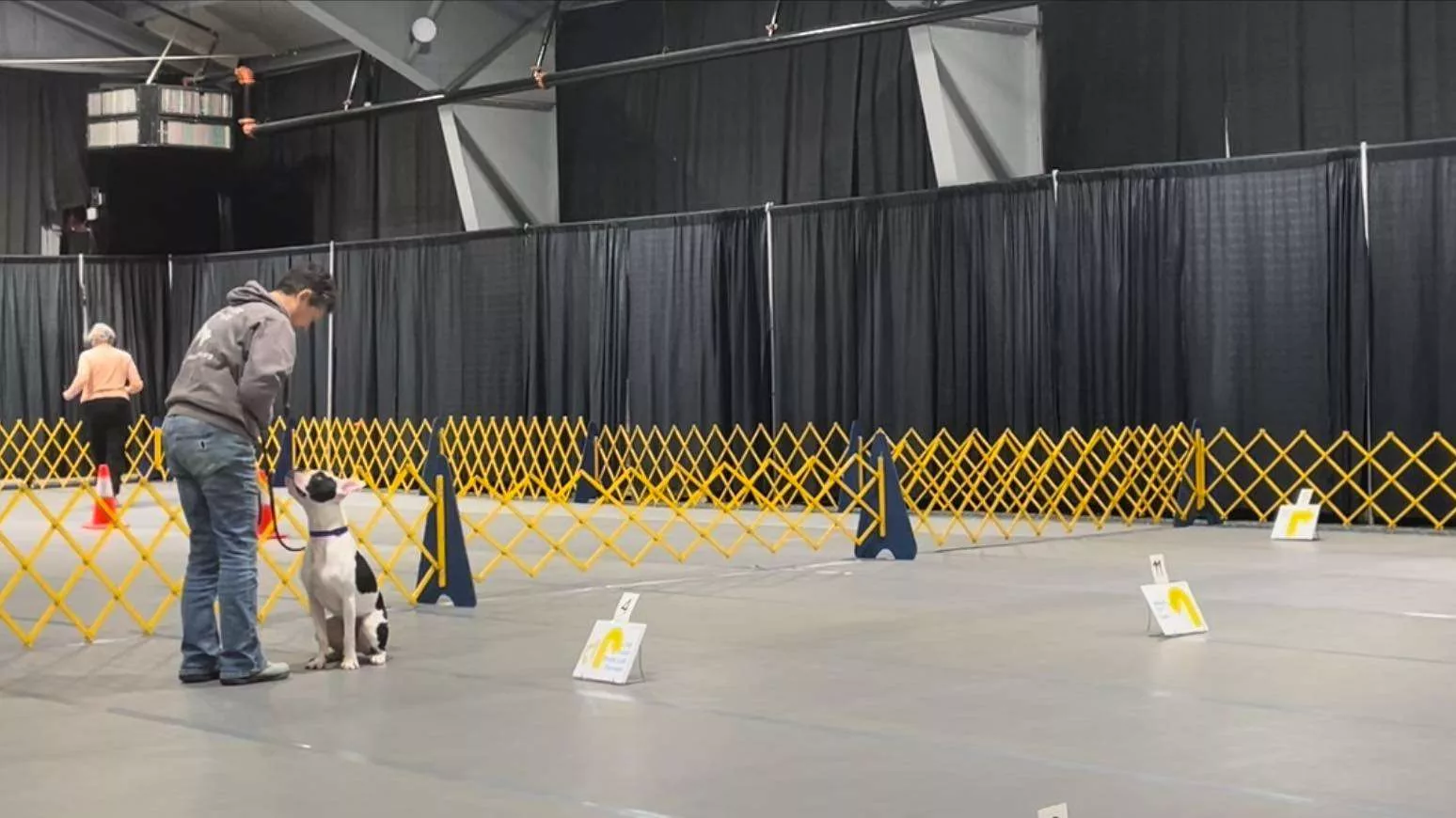 Rally Obedience dog sport