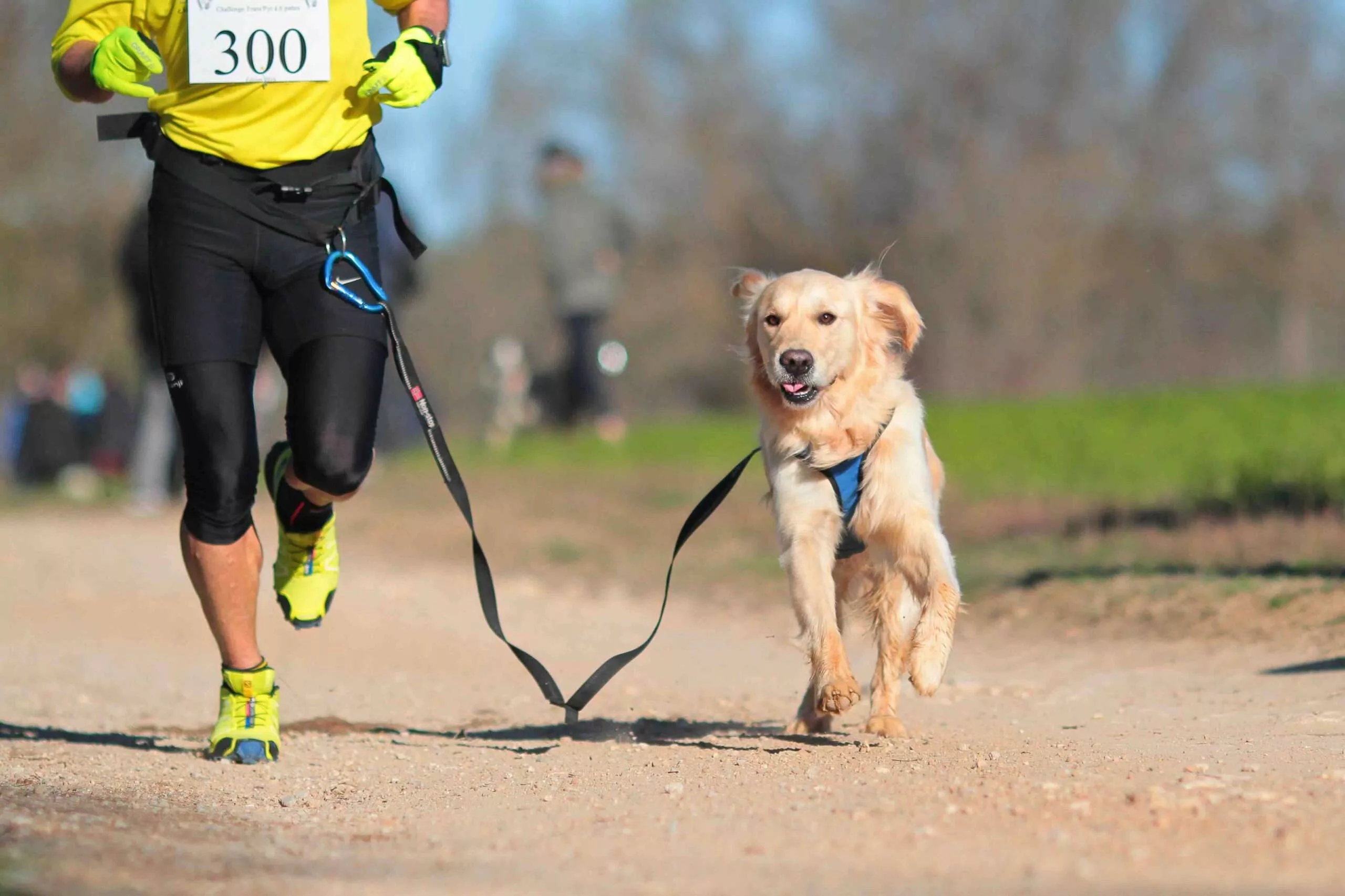 The Benefits of Canicross for You and Your Dog