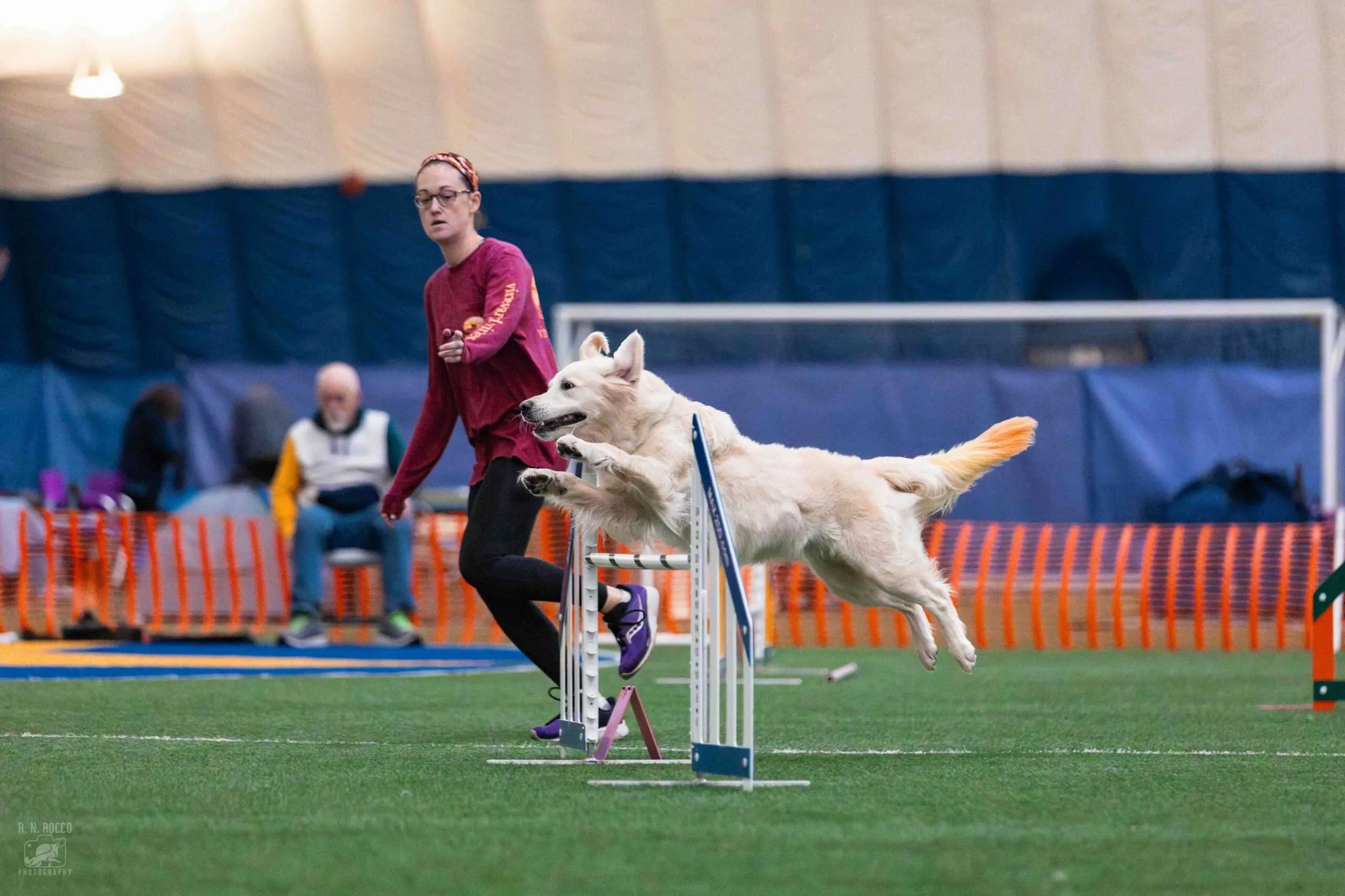 AKC Agility Titles Guide