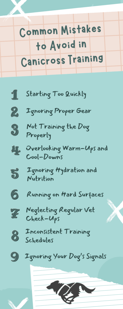 Common Mistakes to Avoid in Canicross Training