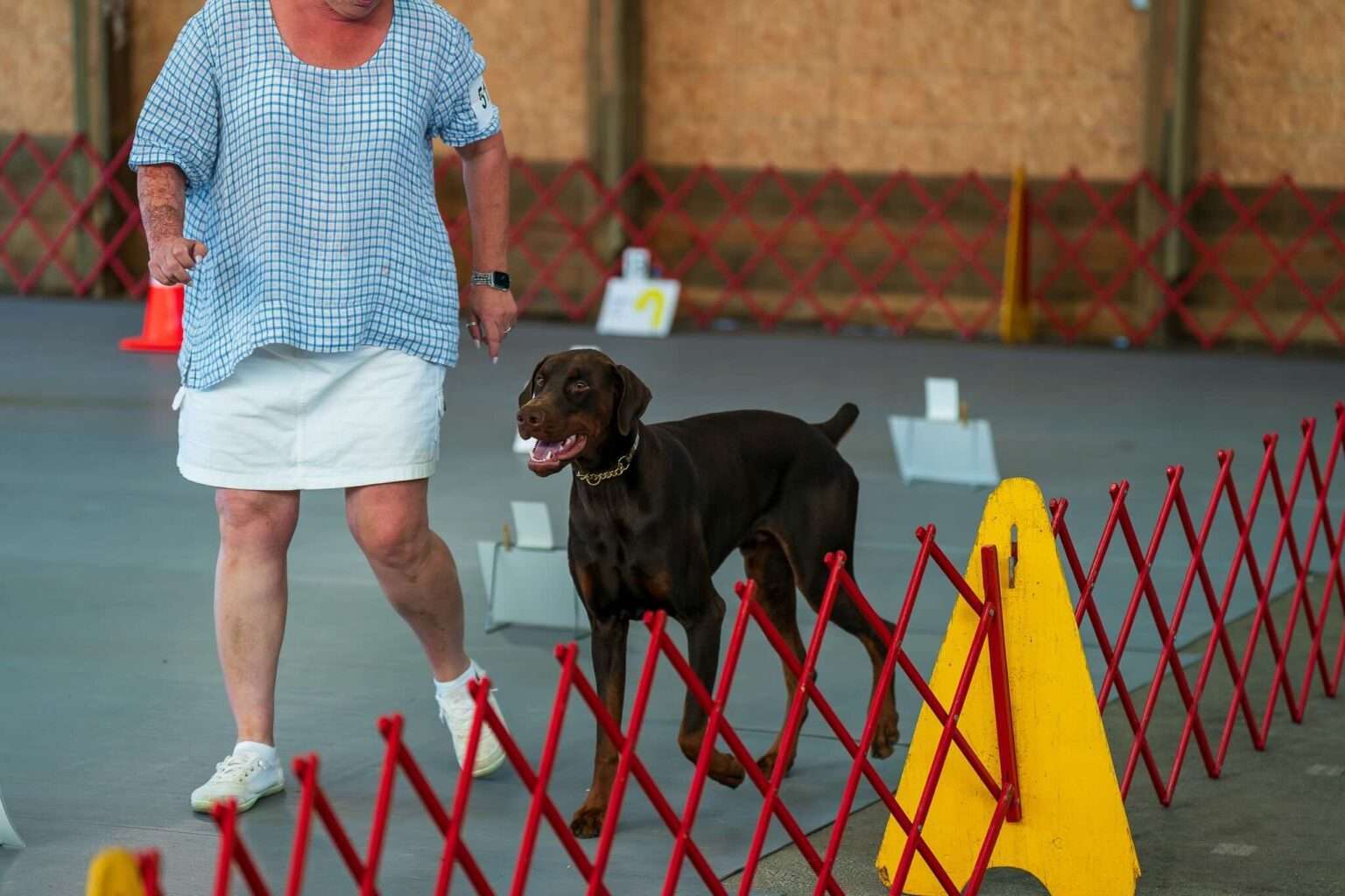 How Rally Obedience Strengthens Your Dog’s Focus and Listening Skills