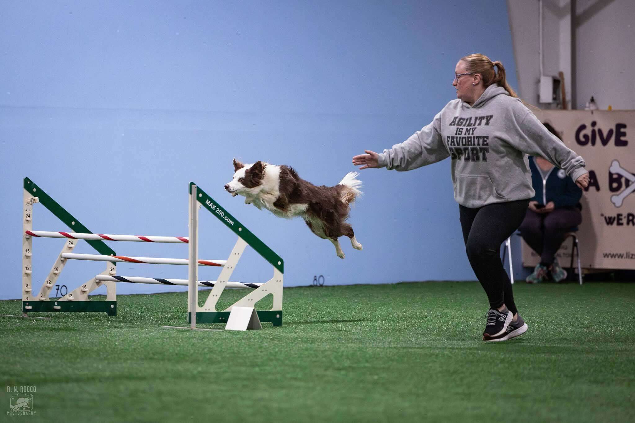 The Rise of Dog Sports: How to Get Your Dog Involved