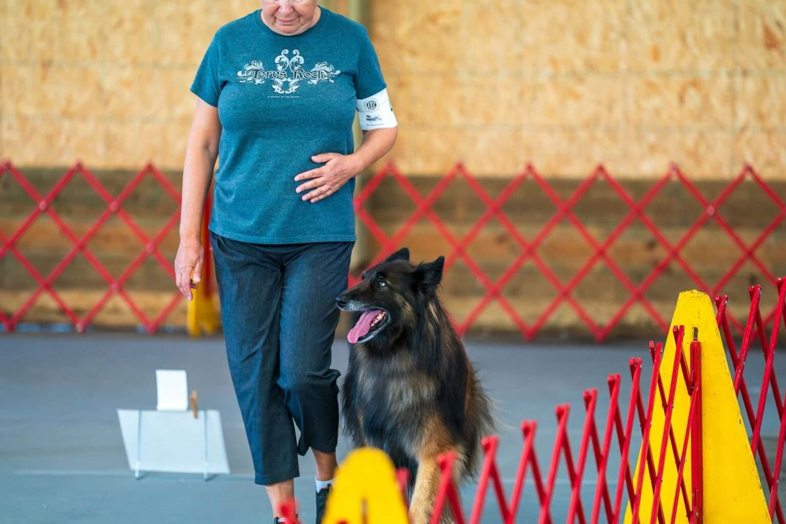 Rally Obedience in Different Organizations