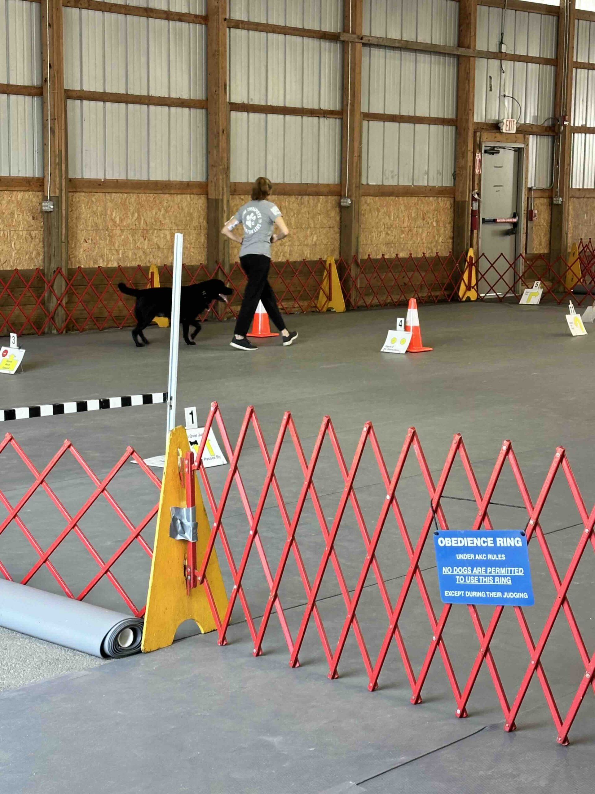 Understanding AKC Rally Rules