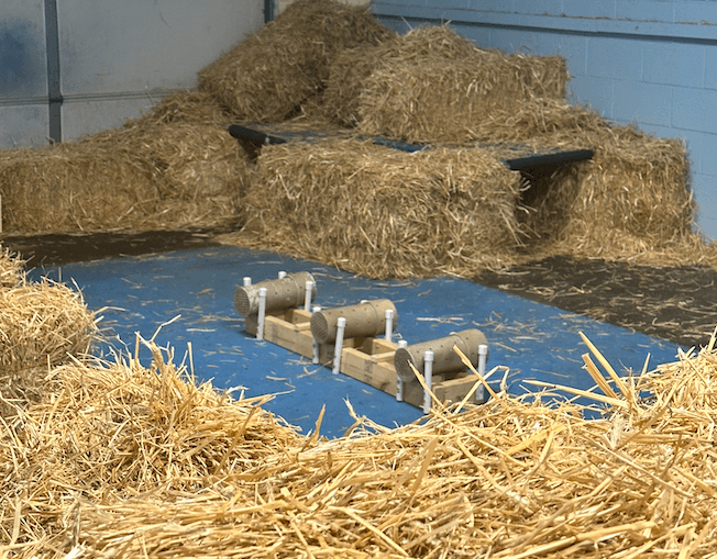 Barn Hunt Instinct Test: A Guide to First Step in the Sport