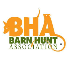 Barn Hunt Association: What It Does and How It Supports the Sport