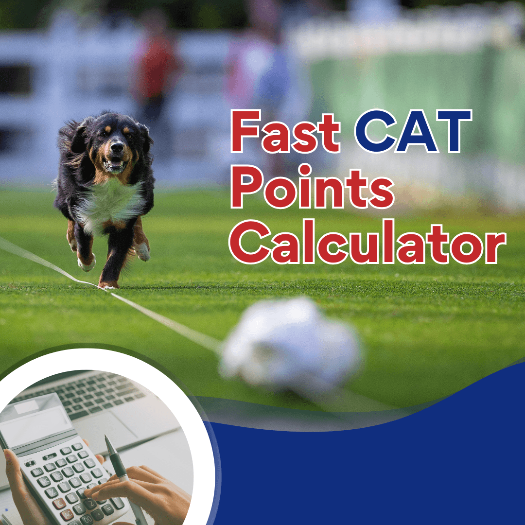 Fast CAT Points Calculator