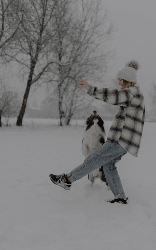 Canine Freestyle frequently asked questions