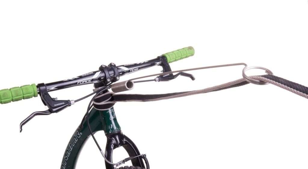 bikejoring gear