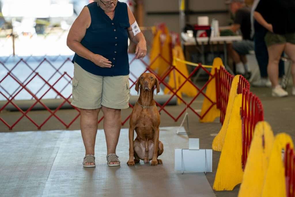 rally obedience